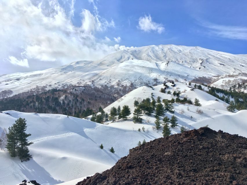 From Taormina or Catania: Private Full-Day Mount Etna Hike - Directions