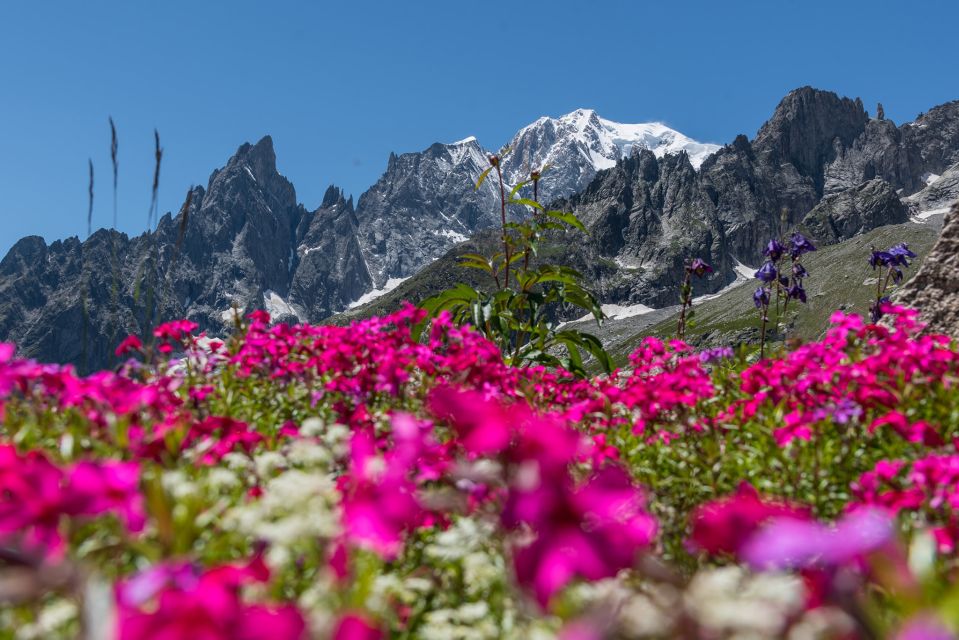 From Torino: Mont Blanc Private Full-Day Trip - Restrictions and Important Information