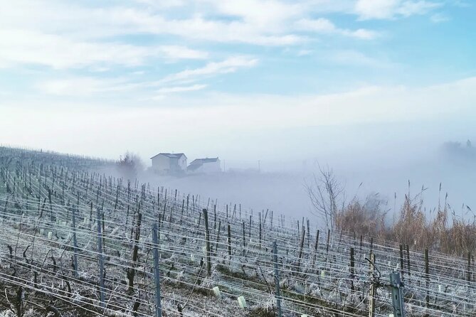 Full Day Barolo&Barbaresco Wine Tour From Milano With a Local Winemaker - Additional Information