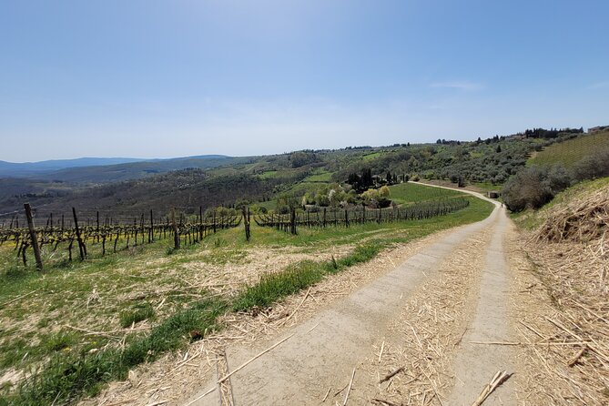 Full-Day Tuscan Hills Bike Tour - Directions and Booking Information