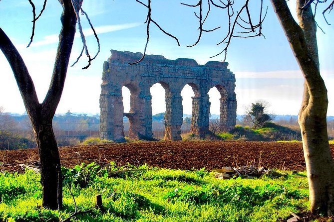 Hidden Rome - Private Tour With Driver - Personalized Tour Experience