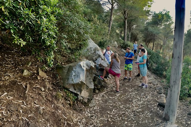 Naturalistic Excursion to Ustica - Weather Considerations