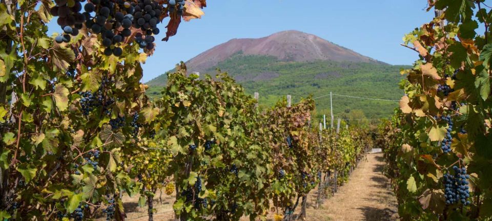 Pompei & Vesuvius Private Day With Stop Lunch in the Winery - Main Stops