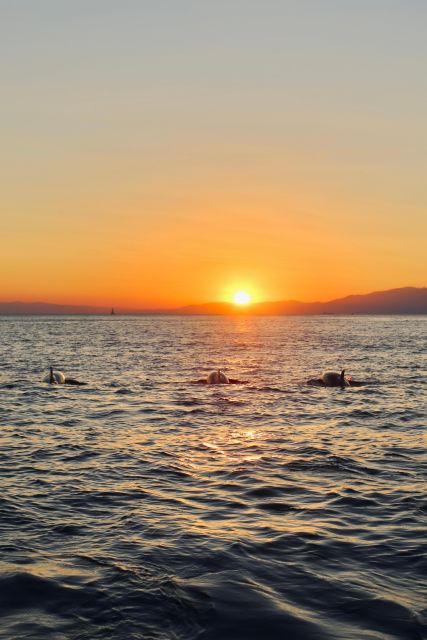 Portofino Sunset Cruise With Aperitif - Aperitif and Sunset Viewing