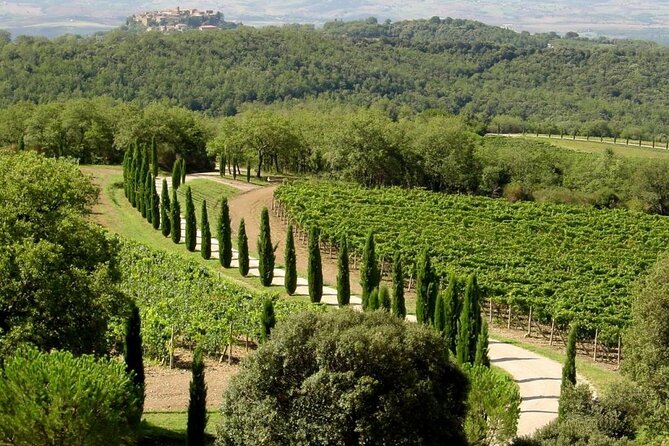 Small Group Pisa Day Trip to Siena and San Gimignano Including Wine Tasting - Booking Information and Departure Details