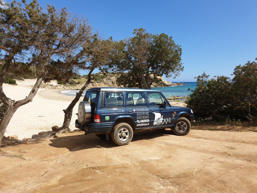 Cagliari Shore Excursion: Amazing Hidden Beaches Jeep Tour - Testimonial and Rating Details