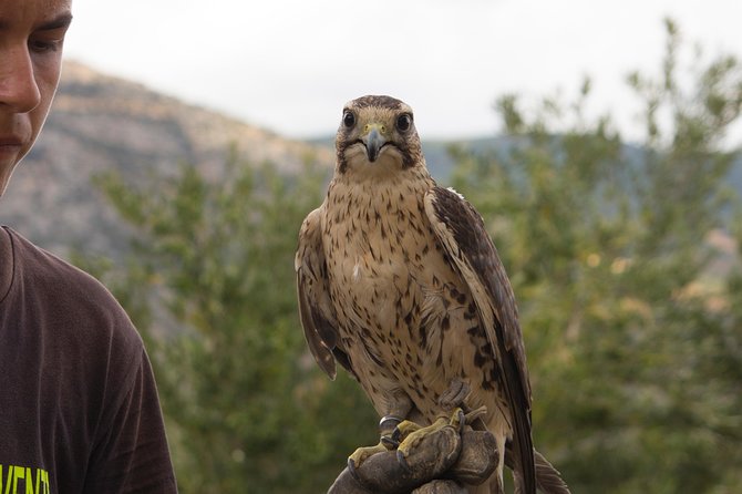 CIVITA EXPERIENCE Borgo Gole Mountain and ... RAPACI Del Pollino - Accessibility