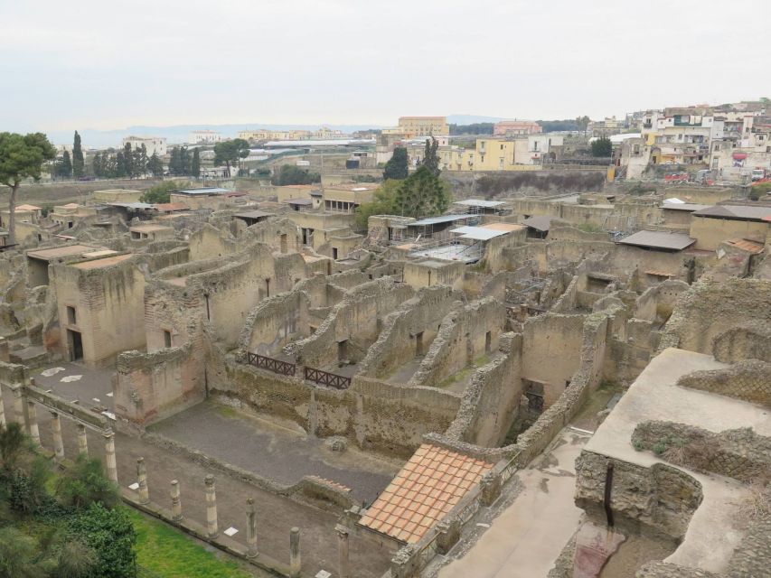 From Naples: Pompeii, Herculaneum, and Vesuvius Private Tour - Frequently Asked Questions