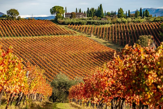 Livorno Shore Excursion: Chianti and Tuscany Countryside Private Wine Tour - Worry-Free Guarantee and Cancellation Policy