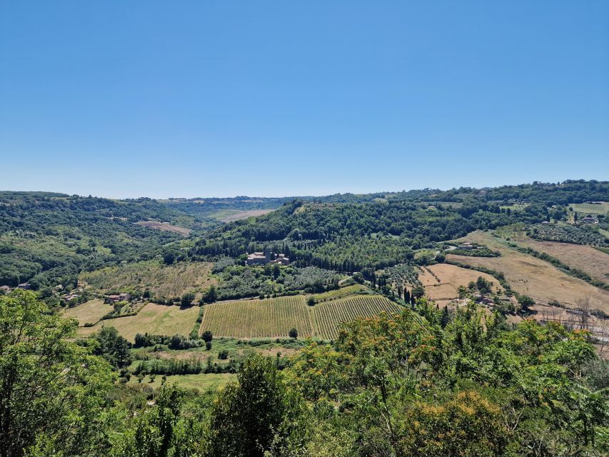 Orvieto the Etruscan City Private Tour From Rome - Cancellation