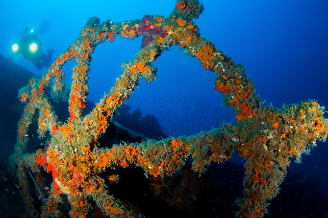 Scuba Diving in Calabria, Italy - Pricing and Booking Information