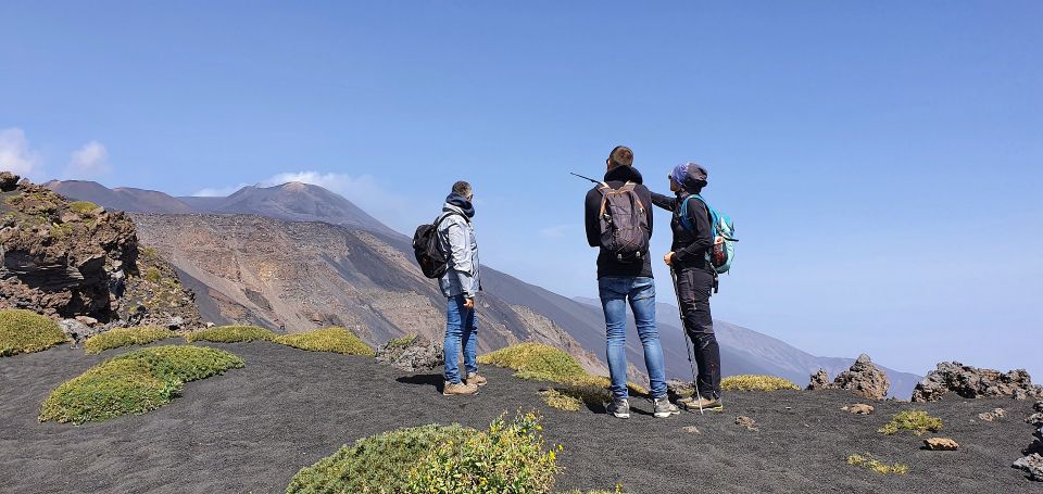 From Taormina or Catania: Private Full-Day Mount Etna Hike - Final Words