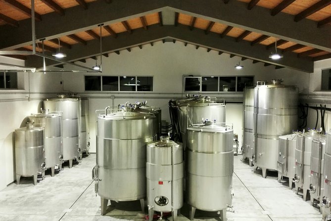 Authentic Experience in Organic Winery - Just The Basics