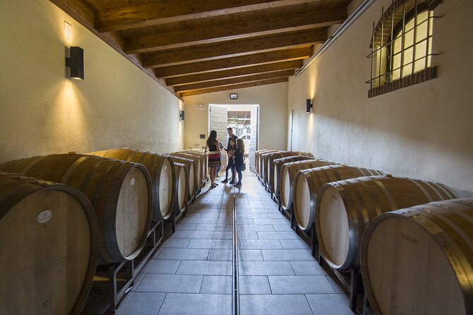 Barolo Wine Tour - Just The Basics