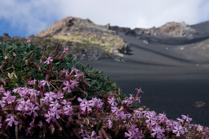 Etna Morning or Sunset - Trek & Lava Tunnel With Gear - Just The Basics