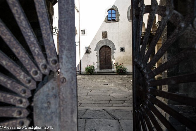 EXCLUSIVE - Wine Tasting Near Florence With Castle and Ancient Cellars Tour - Just The Basics