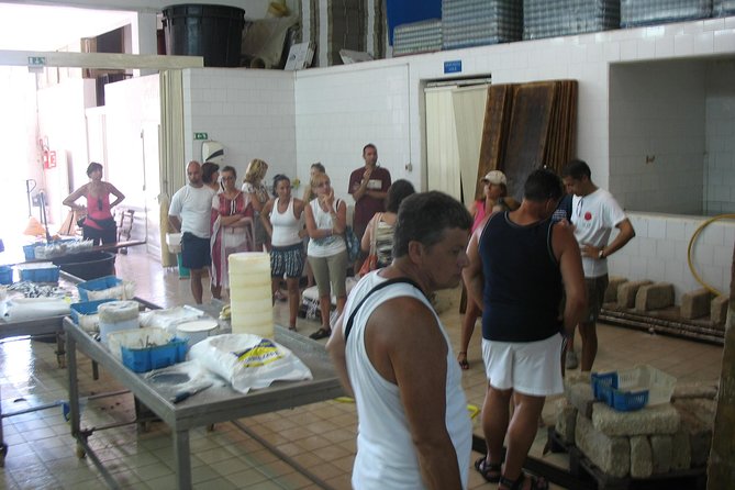 Excursion - Marzamemi and Capo Passero by Boat - Just The Basics