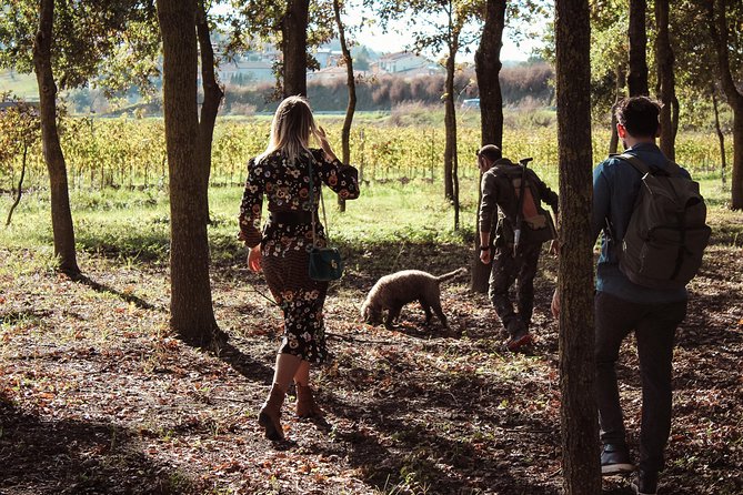 Experience Tuscan Truffle Hunting With Wine and Lunch - Just The Basics