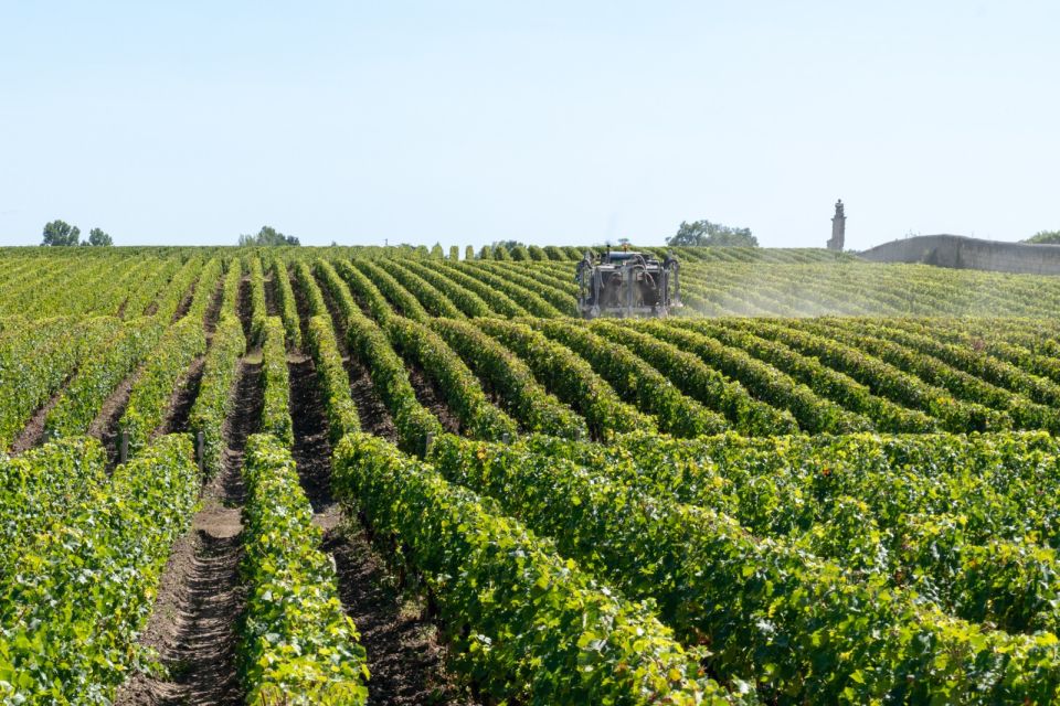 From Bologna: Franciacorta Lunch and Wine Tasting - Just The Basics