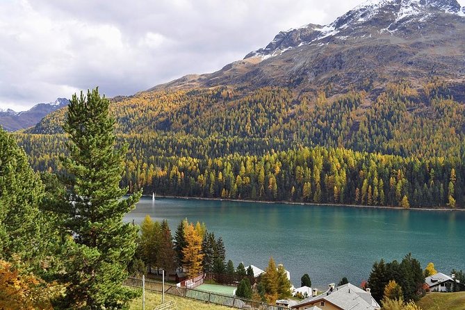 From Lake Como or Milan: Bernina Red Train Tour - Just The Basics