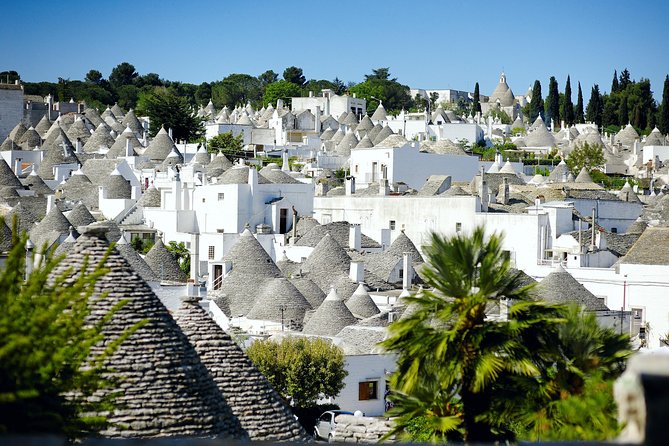 Guided Tour of the Trulli of Alberobello - Just The Basics