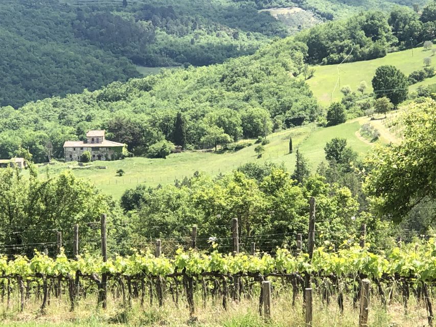 Lucca Private Day Tour to Chianti and San Gimignano - Just The Basics
