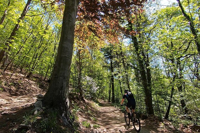 Mountain Bike Tour in Spina Verde Natural Park - Just The Basics