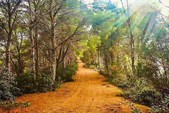 Naturalistic Excursion to Ustica - Just The Basics