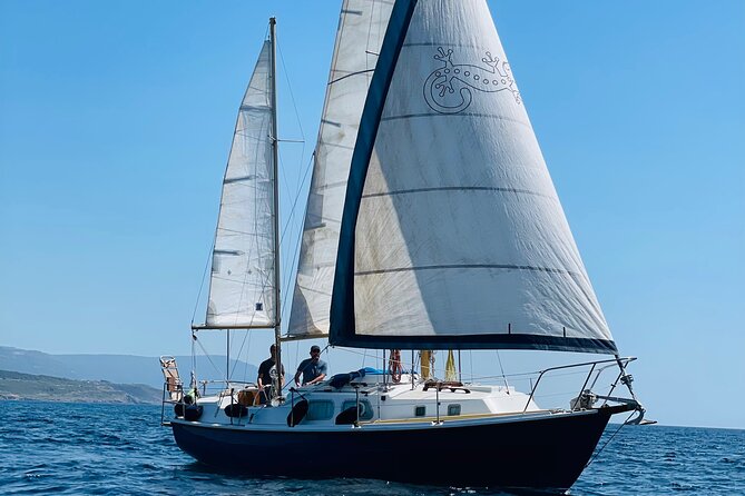 One Day Excursion on a Sailing Boat in the Gulf of Alghero - Just The Basics