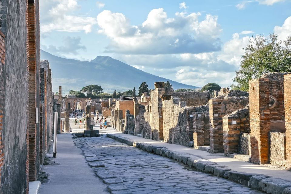 Pompeii and Mt Vesuvius: Full-Day Private Tour - Just The Basics