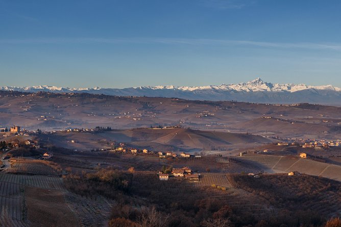 Private Barolo / Barbaresco - Piedmont Wine Tours and Tastings - Just The Basics