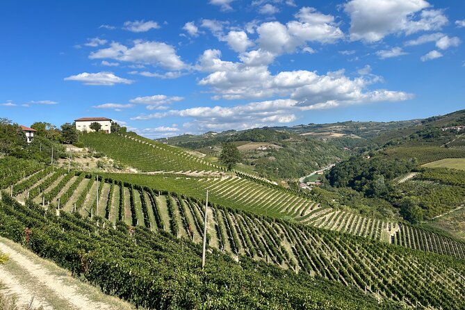 Private Barolo Wine Tour With Winemaker - Just The Basics