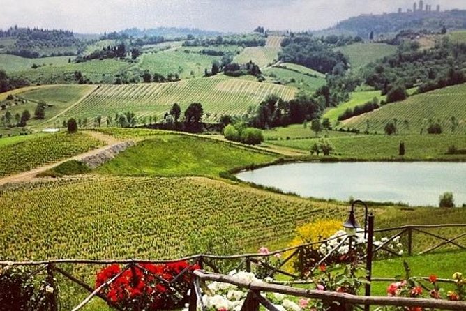 Private Chianti Classico Tour With Wine and Food Tasting in a Historic Estate - Just The Basics