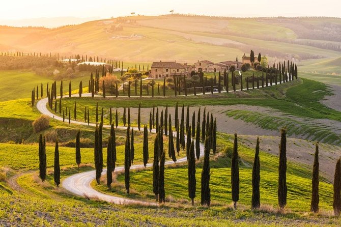 Private Day Trip Tuscany Landscape and Wine Tasting From Florence - Just The Basics