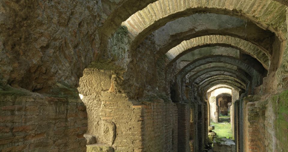 Rome: Ancient History and Colosseum Underground Tour - Just The Basics