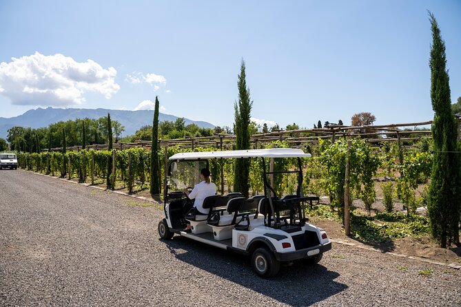 Seafood Lunch With Wine Tasting & Tour on a Golf Cart - Just The Basics