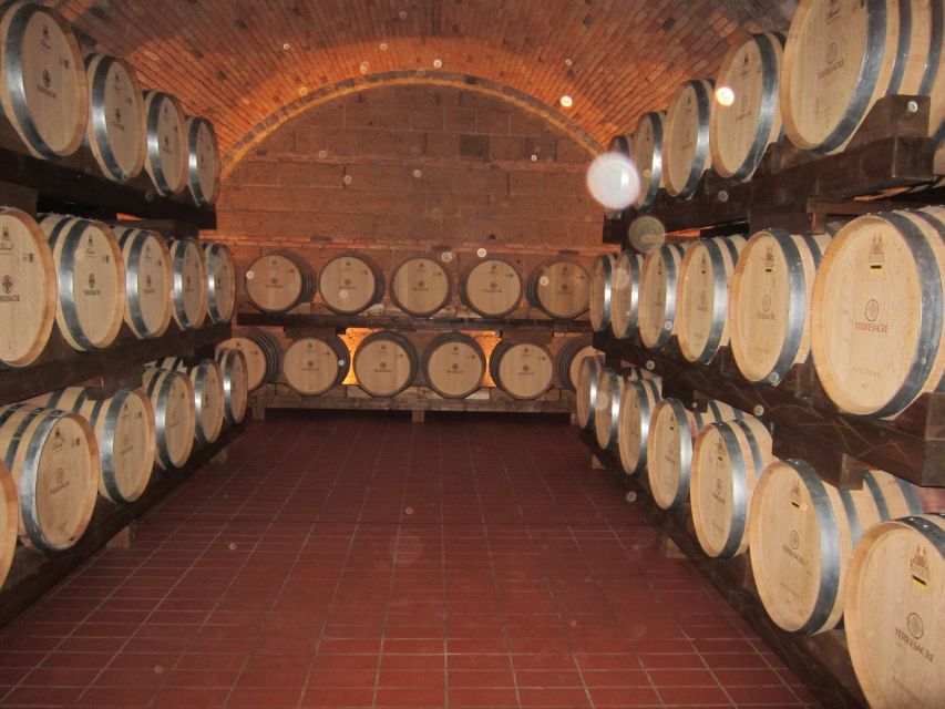 Siena & San Gimignano Day Tour & Wine Tasting From Rome - Just The Basics