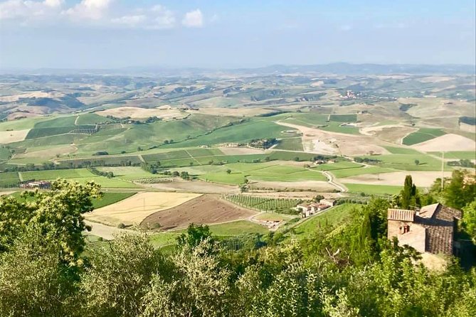 Siena, San Gimignano & the Chiantiside Private Tour With Mercedes V Class Van - Just The Basics