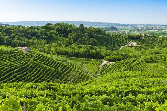 The Original Private Prosecco Tour All Inclusive From Conegliano - Just The Basics