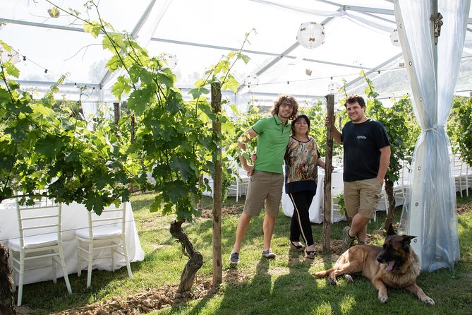 Tuscany Wine Tours in a Family Winery Podere Pellicciano - Just The Basics