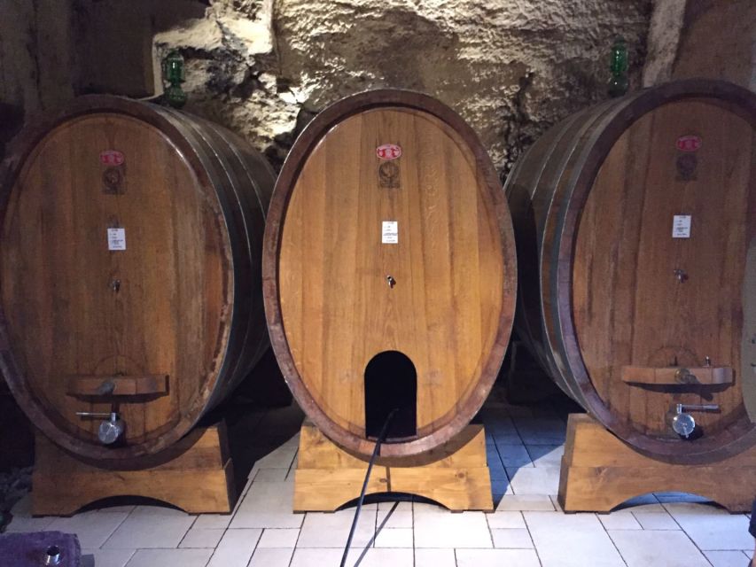 Verona: Amarone Wine Tour With Gourmet Lunch in Roman Villa - Just The Basics