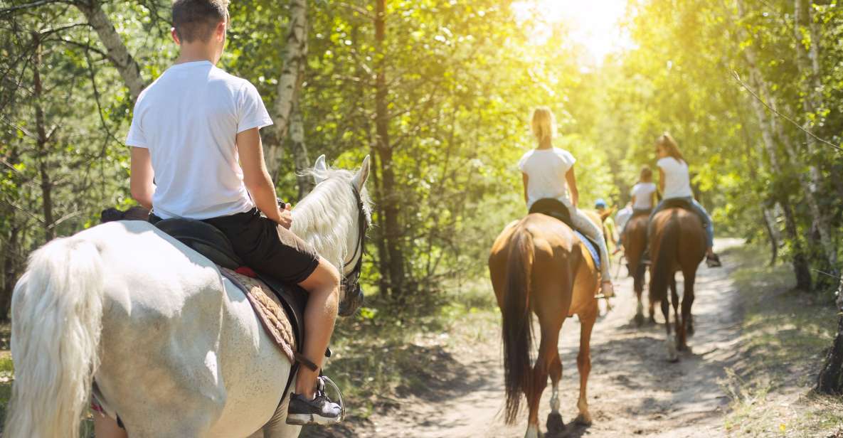 Vesuvius Horseback Riding With Tasting - Private Tour - Just The Basics