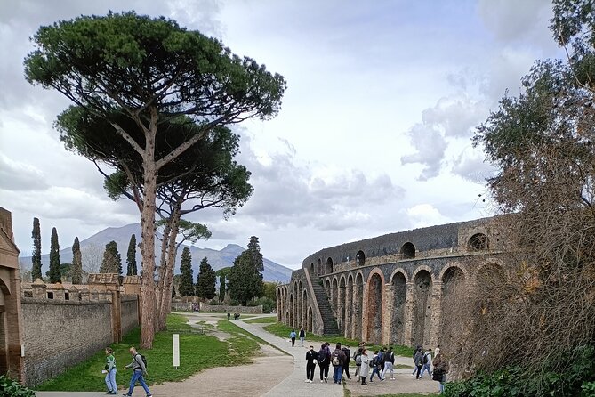 Visit Pompeii Sorrento Positano From Naples - Just The Basics