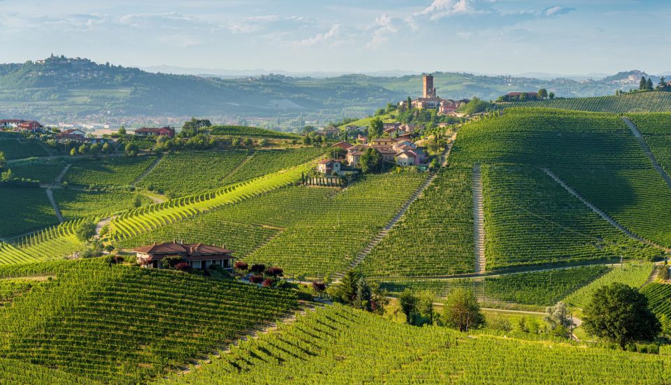 Barolo Winery Private Visit With Gourmet Lunch - Activity Details