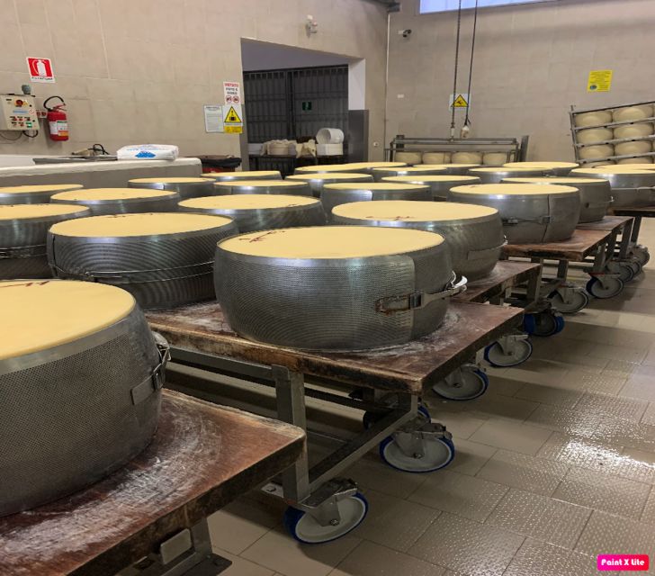 Bologna: Parmesan, Vinegar, Lambrusco, Lunch +Transfer