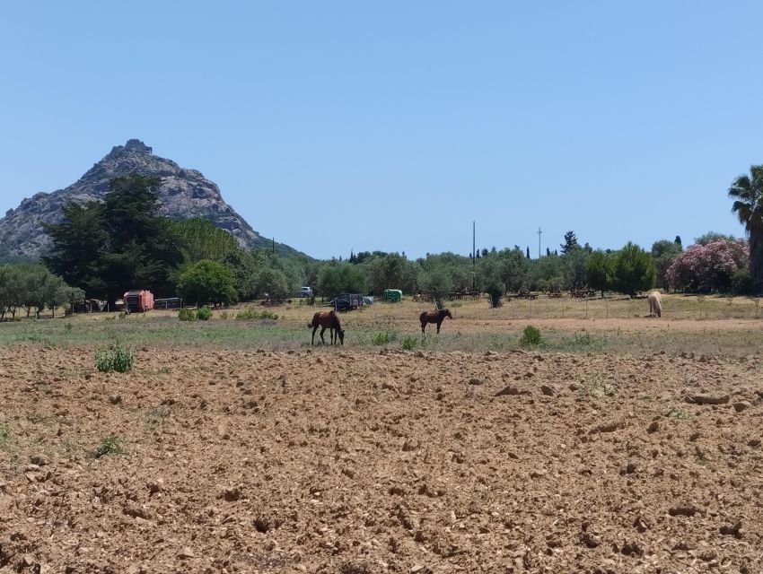 Cheese Making and Tasting Tour From Cagliari With Lunch - Tour Details