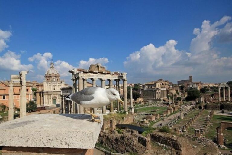 Exclusive Private Tour: Colosseum, Roman Forum, and Palatine