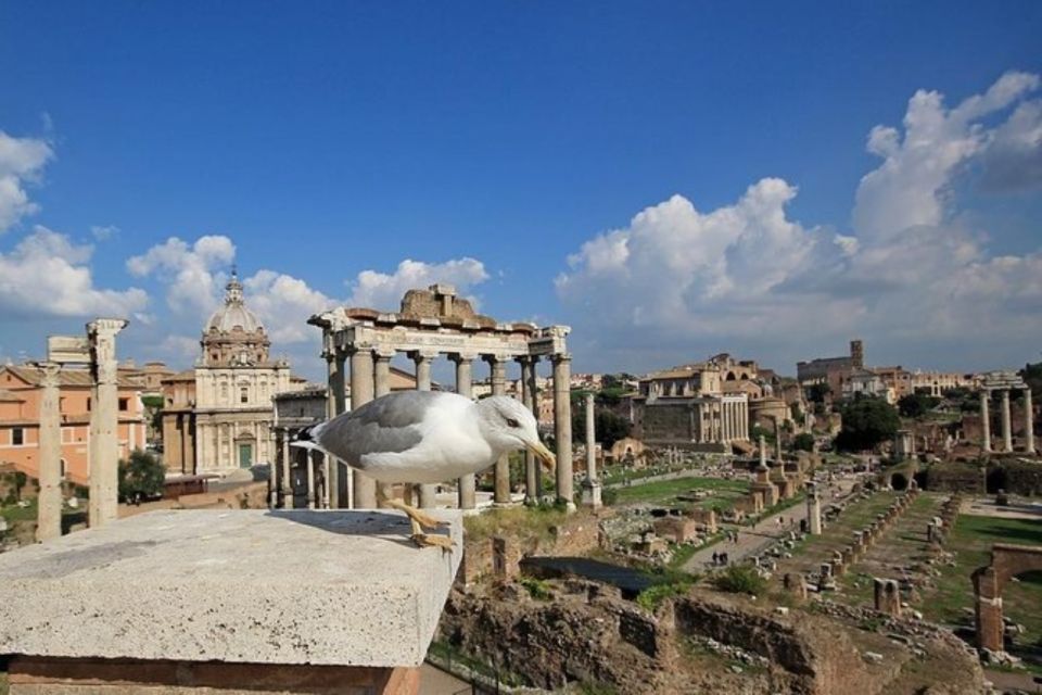 Exclusive Private Tour: Colosseum, Roman Forum, and Palatine - Tour Details