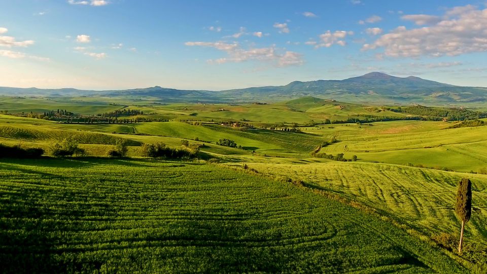 Florence: Chianti, Montalcino & Montepulciano Private Tour - Tour Details