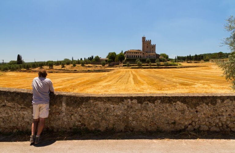 From Florence: Chianti Wine and Tuscan Countryside Tour